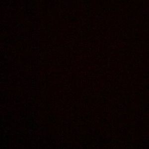 Meet your Posher, Wissam